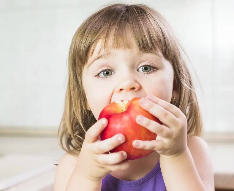 Alimentation variée et équilibrée pour un enfant de 2 ans