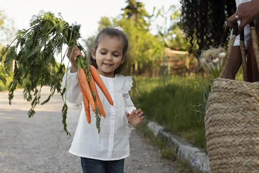 Quels sont les fruits et légumes de saison