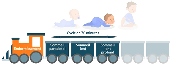 Phases et cycles du sommeil chez l'enfant de 2 à 9 mois