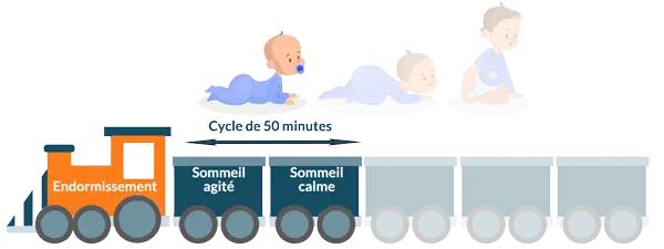 Cycle du sommeil du bébé de la naissance à 2 mois